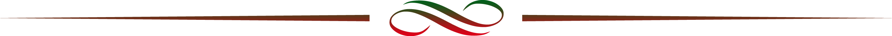 divider-1
